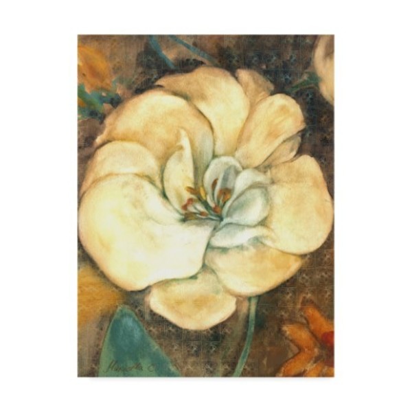 Trademark Fine Art Marietta Cohen Art And Design 'Cream Flower Illustrations 2' Canvas Art, 14x19 ALI43165-C1419GG